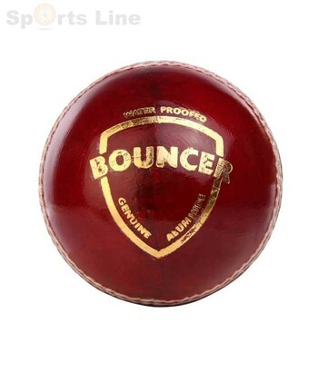 SG Bouncer Leather Cricket Ball